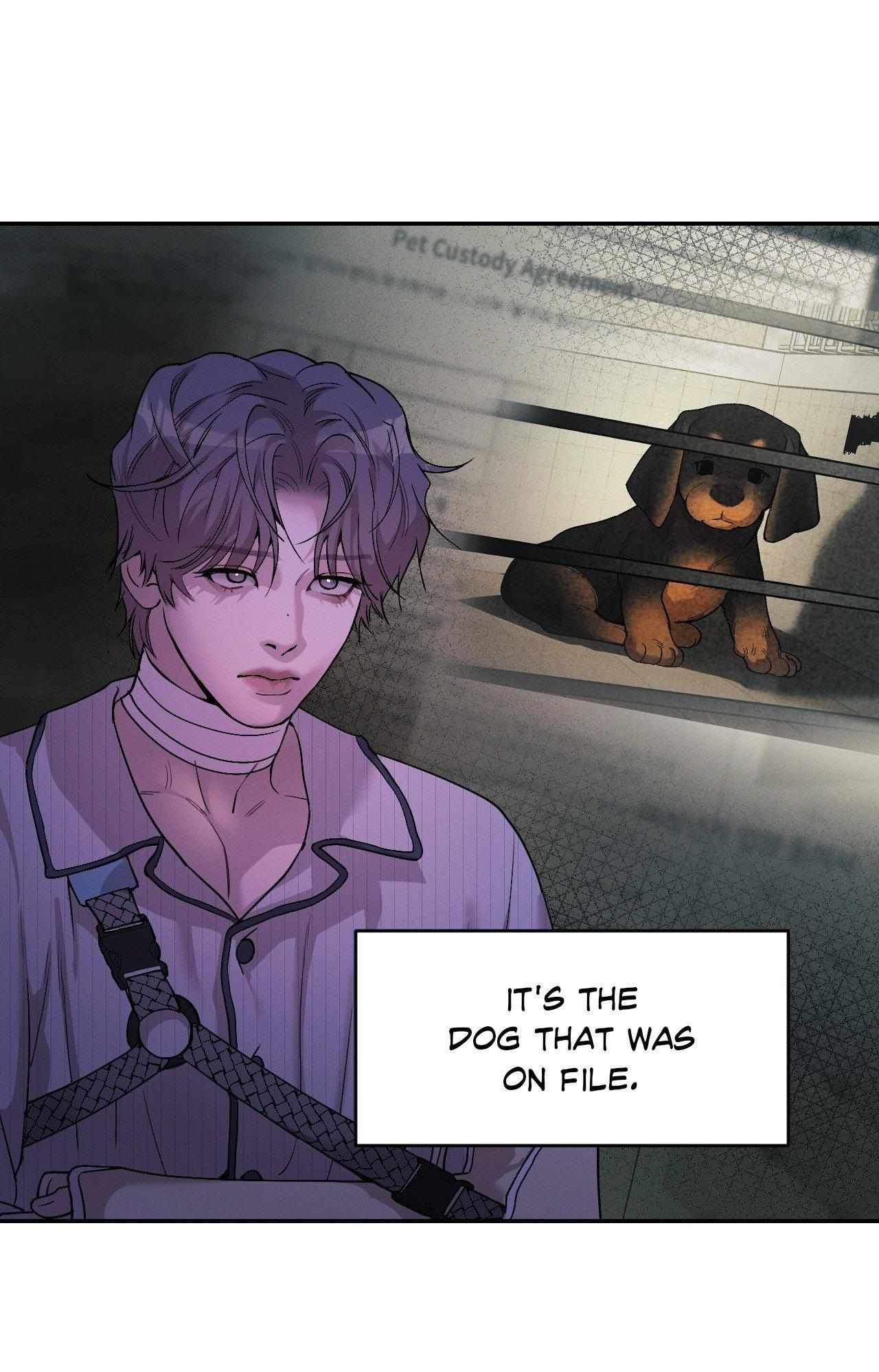 PEARL BOY: IGNITE THE DAWN Chapter 18 page 51 - 
