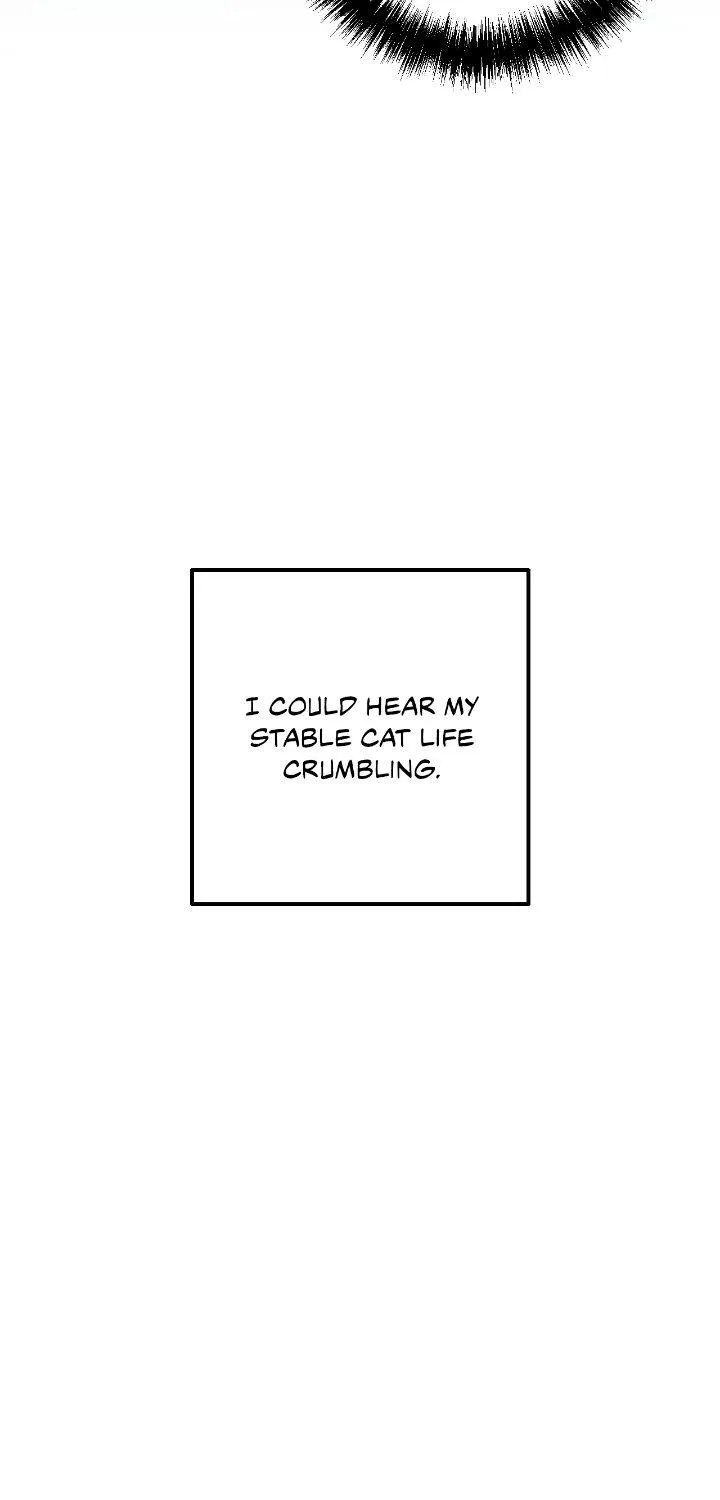 Perfect Buddy Chapter 1.1 page 81 - 