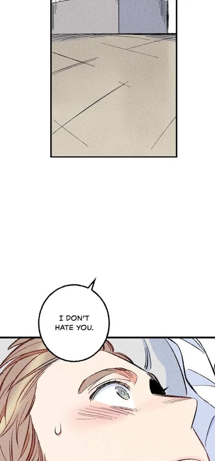 Perfect Buddy Chapter 23 page 34 - 