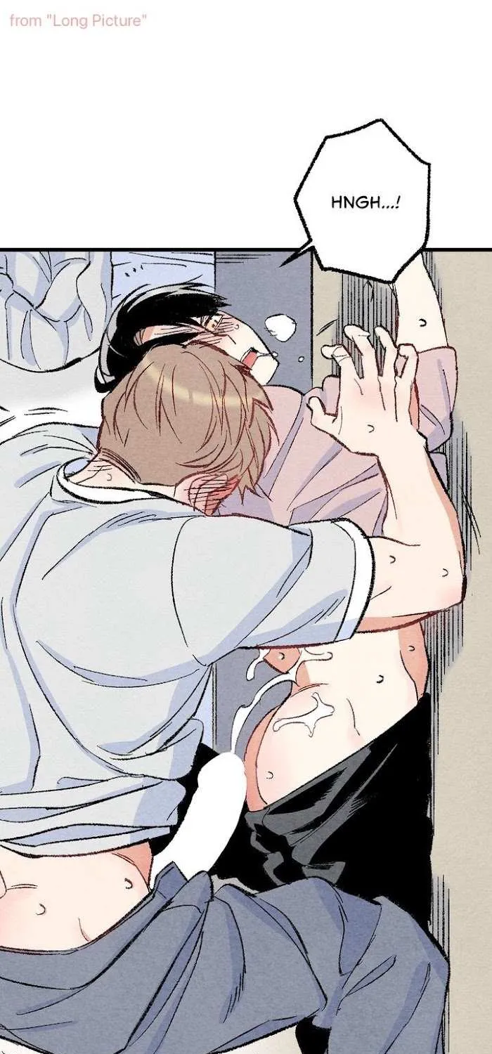 Perfect Buddy Chapter 24 page 62 - 