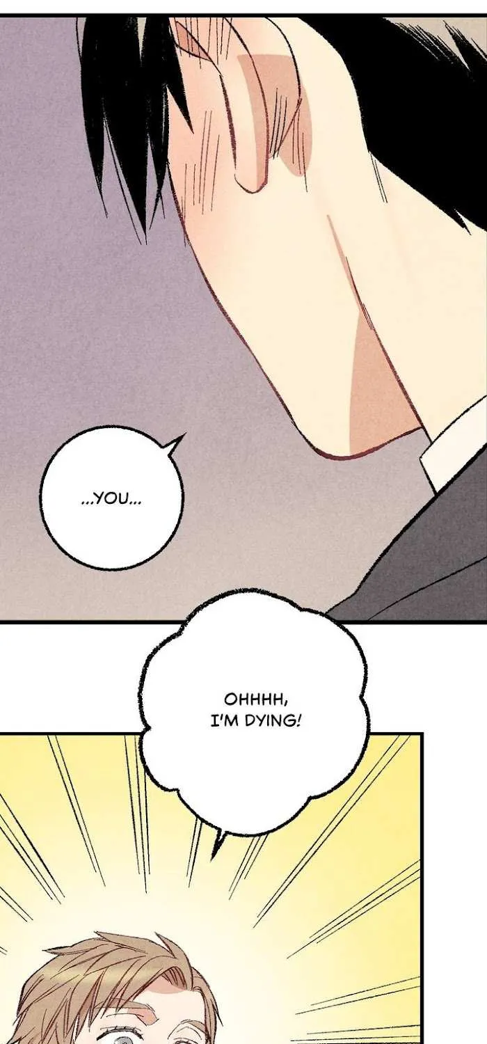 Perfect Buddy Chapter 27 page 36 - 