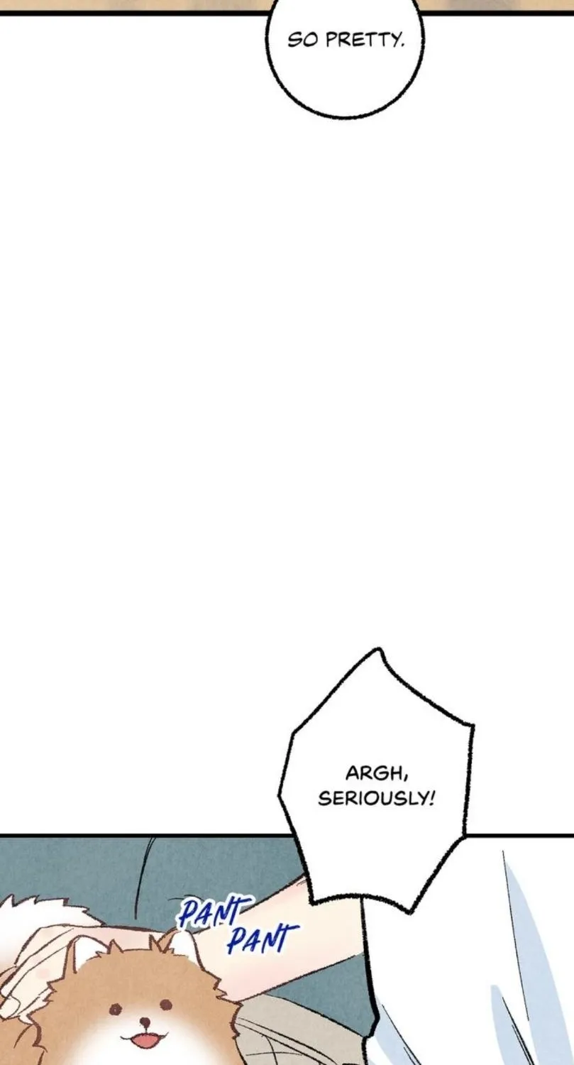 Perfect Buddy Chapter 30 page 70 - 