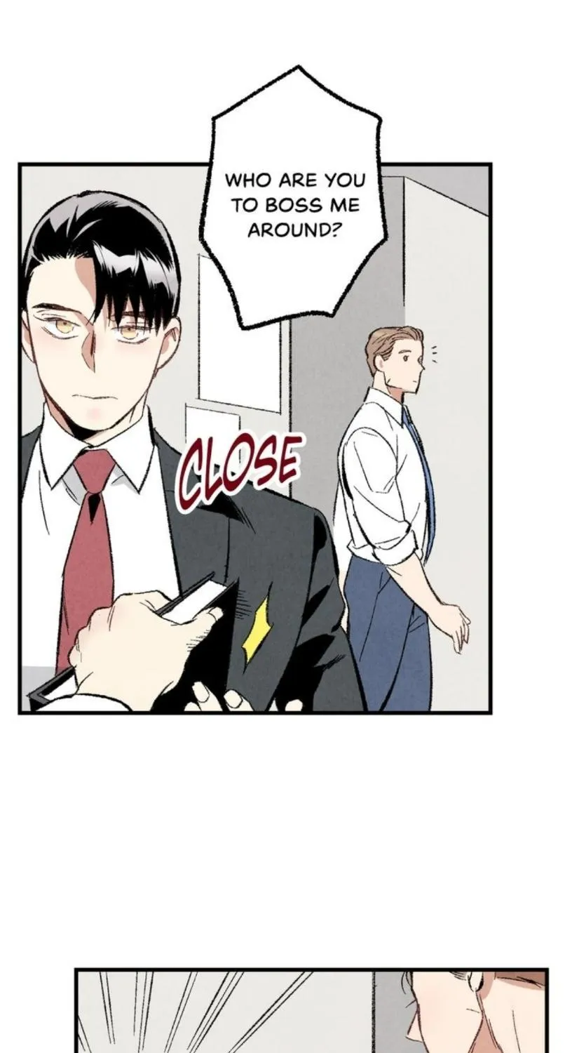 Perfect Buddy Chapter 34 page 19 - 