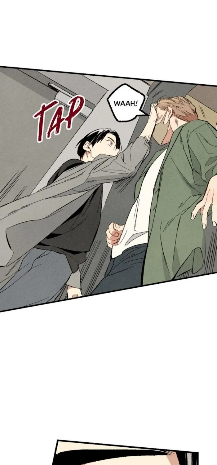 Perfect Buddy Chapter 36 page 66 - 