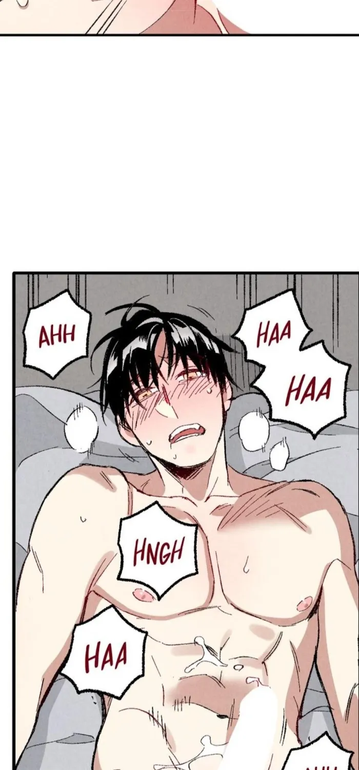 Perfect Buddy Chapter 38 page 65 - 