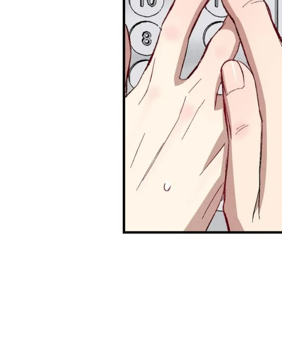 Perfect Buddy Chapter 49 page 69 - 
