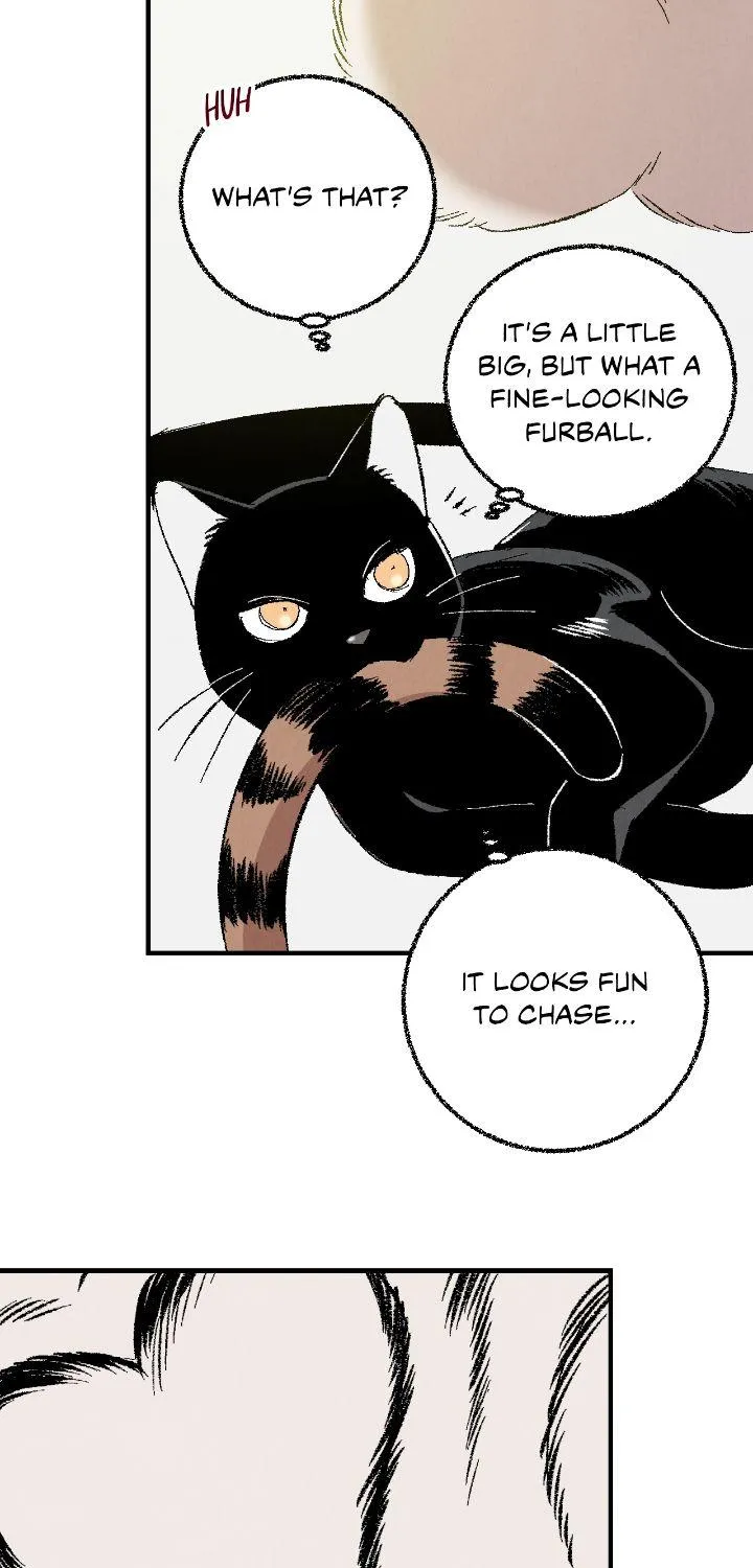 Perfect Buddy Chapter 5.1 page 25 - 