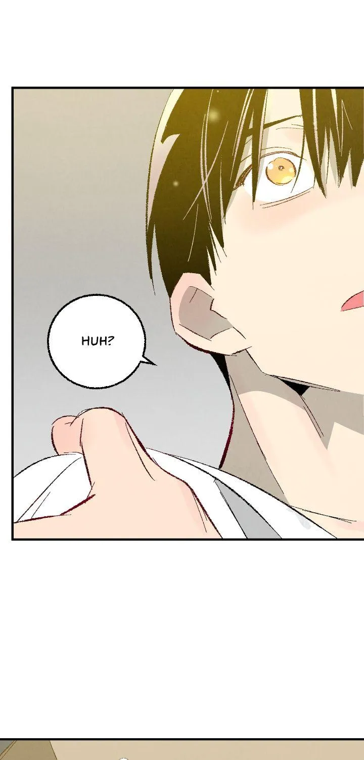 Perfect Buddy Chapter 90 page 67 - 