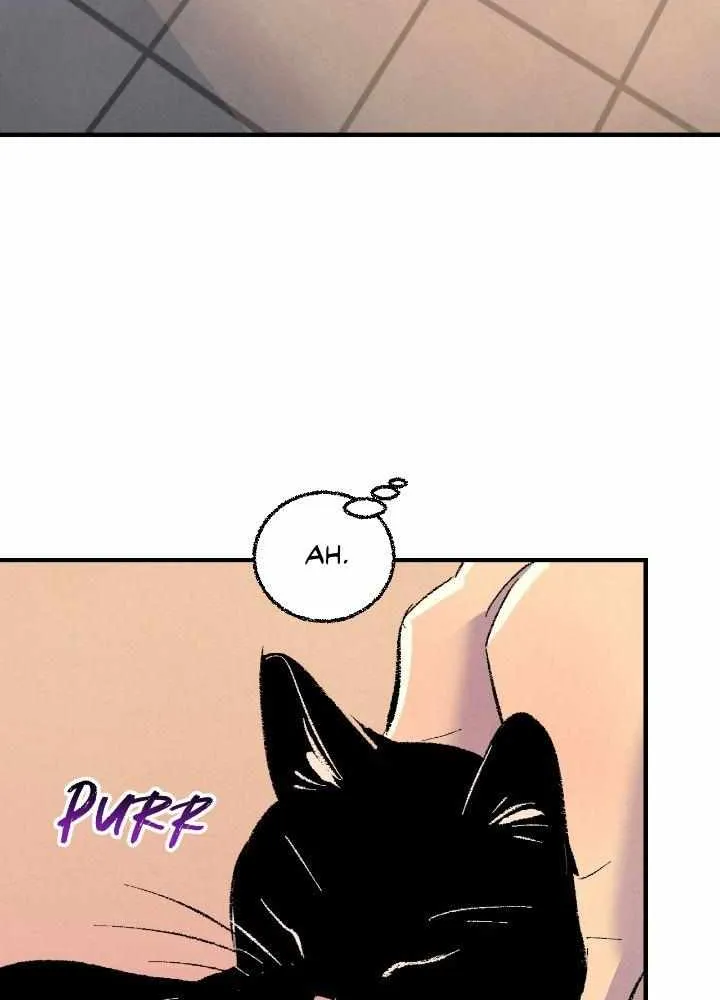 Perfect Buddy Chapter 92 page 66 - 