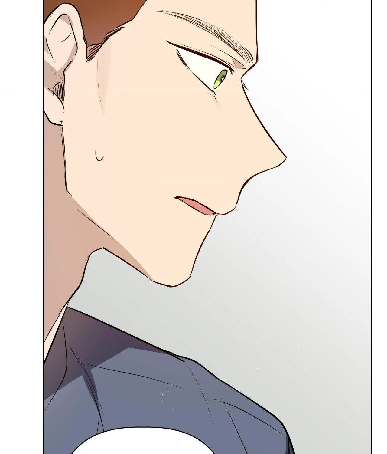 Perfect Omega Chapter 27 page 16 - 