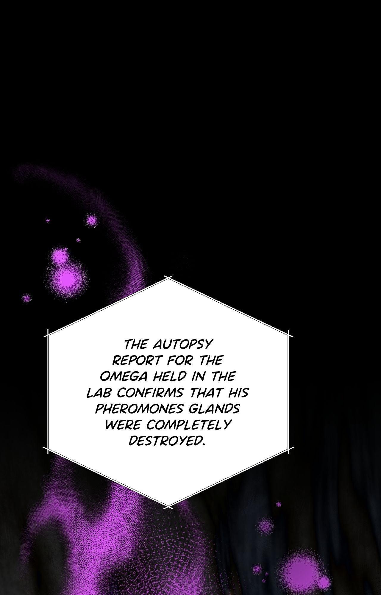 Perfect Omega Chapter 42 page 25 - 