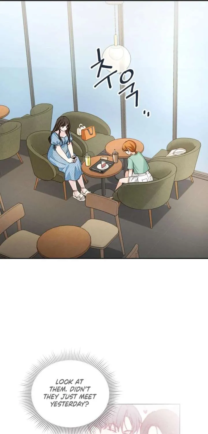 Perfection is Everything Chapter 37 page 31 - 