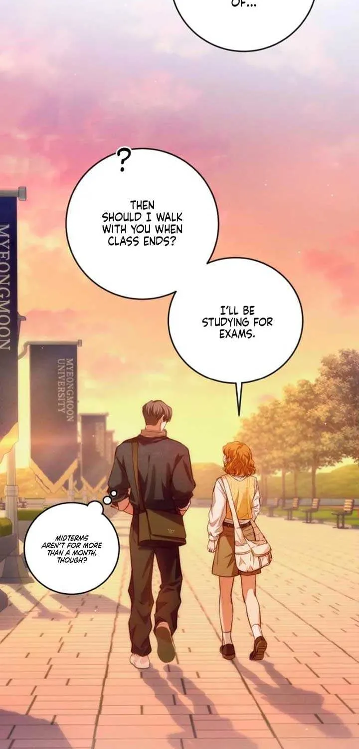 Perfection is Everything Chapter 5 page 43 - 