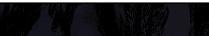 Perhaps Invincible Chapter 0 page 41 - 