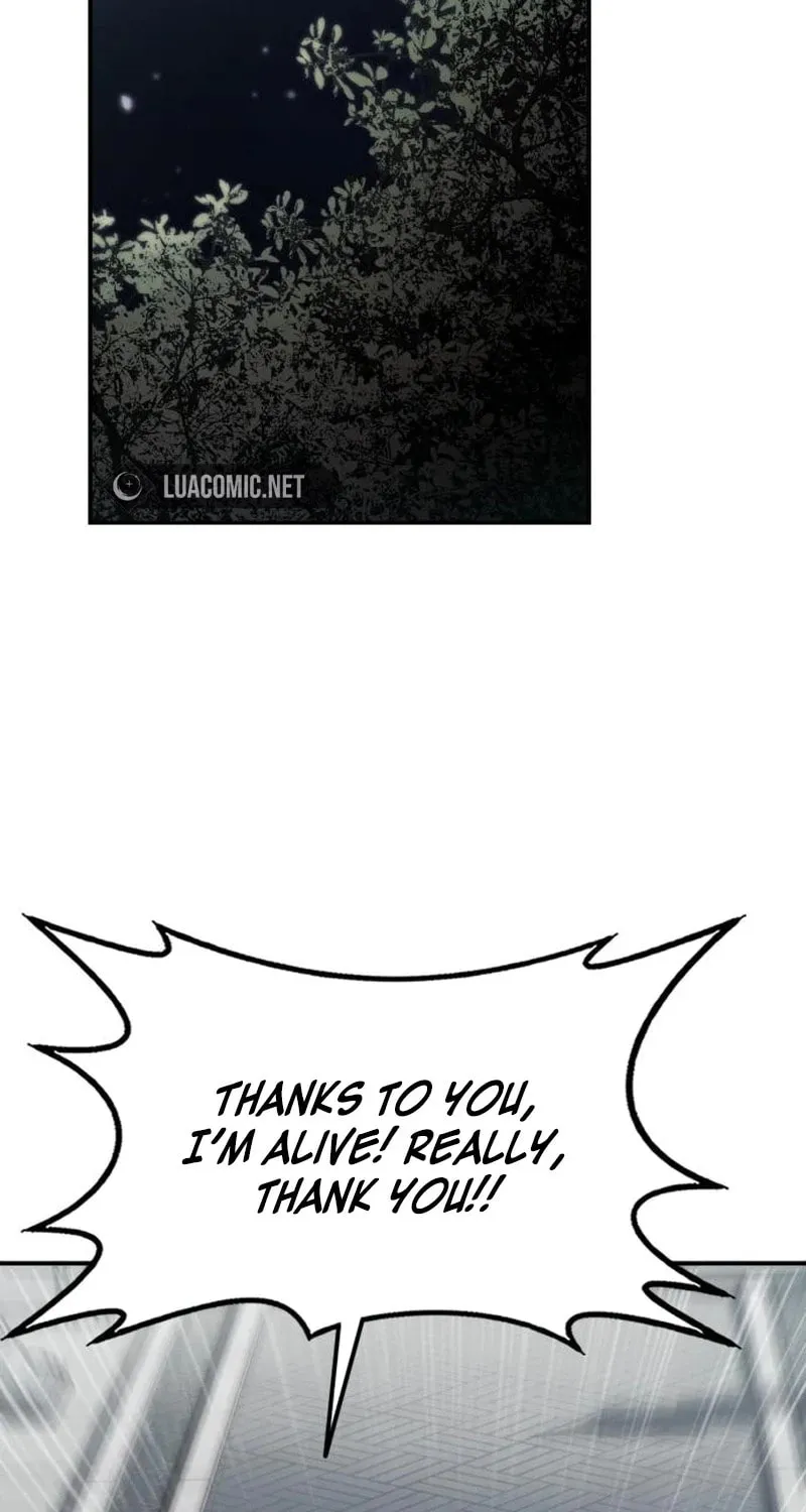 Perhaps Invincible Chapter 22 page 45 - 