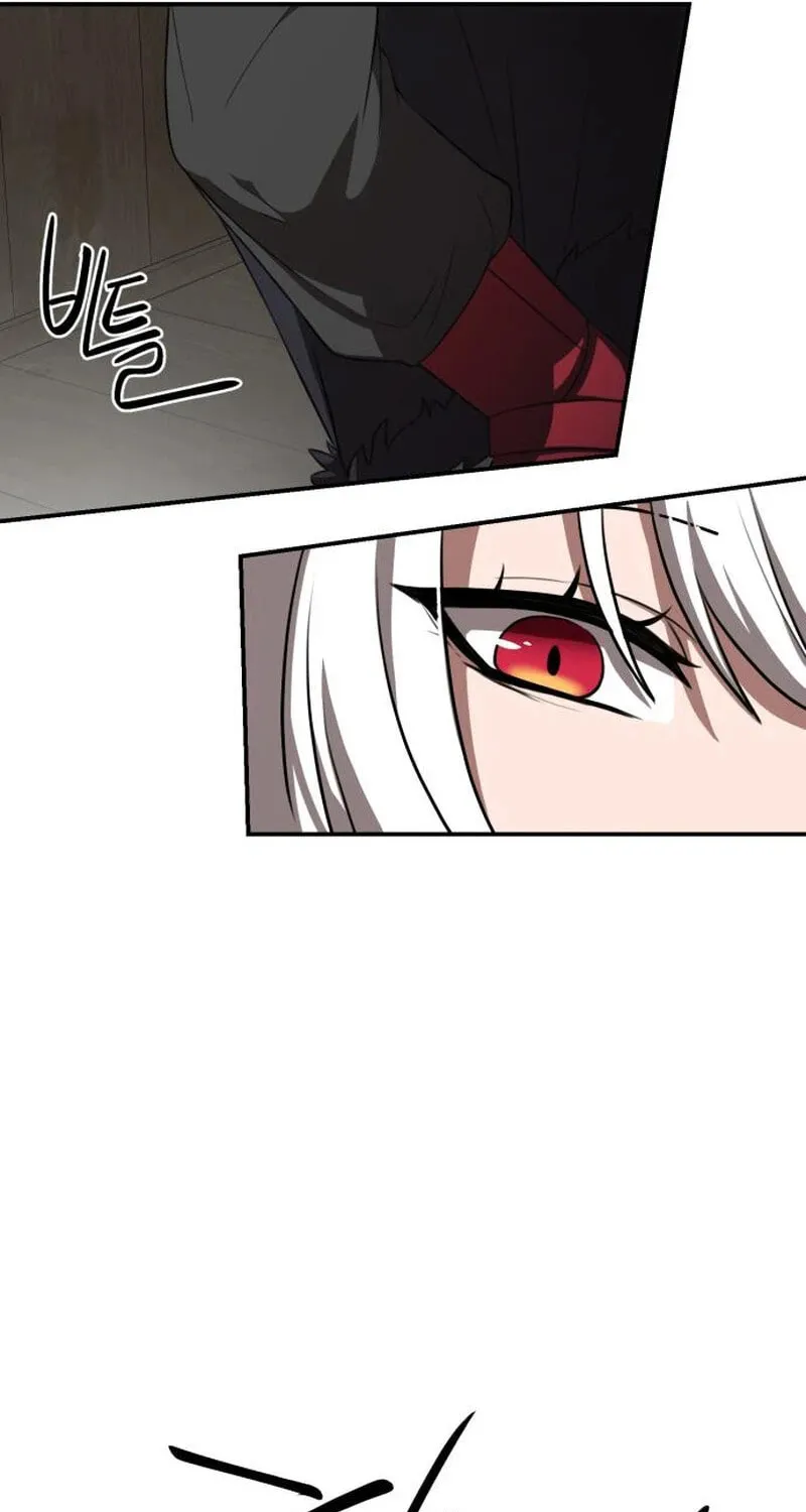 Perhaps Invincible Chapter 26 page 101 - 