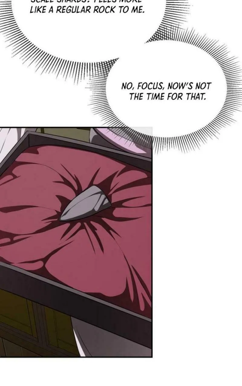 Perhaps Invincible Chapter 29 page 84 - 