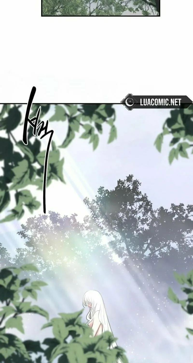 Perhaps Invincible Chapter 39 page 19 - 