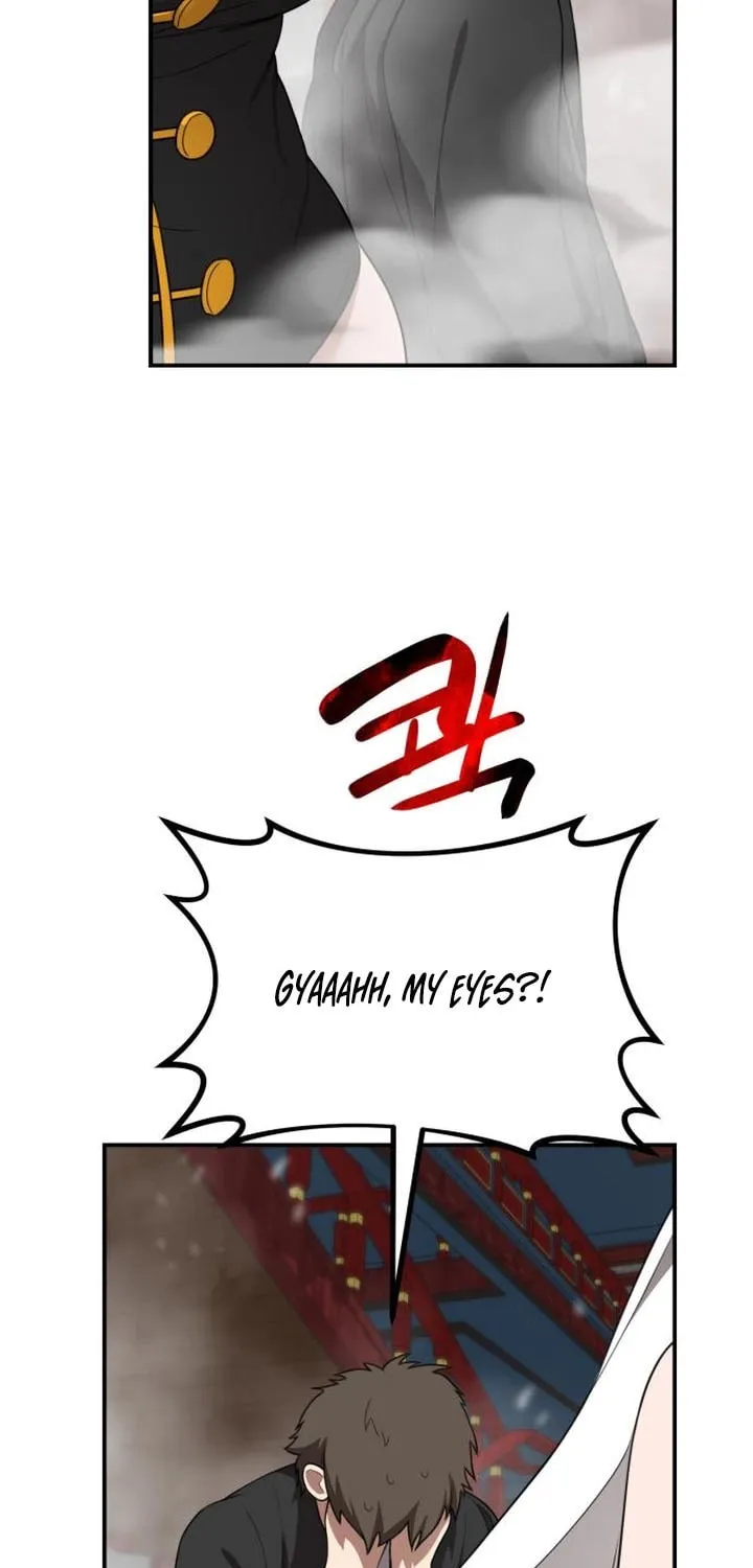 Perhaps Invincible Chapter 45 page 48 - 