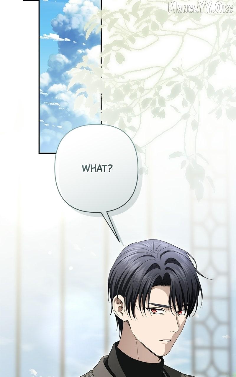 Perhaps Invincible Chapter 51 page 77 - 