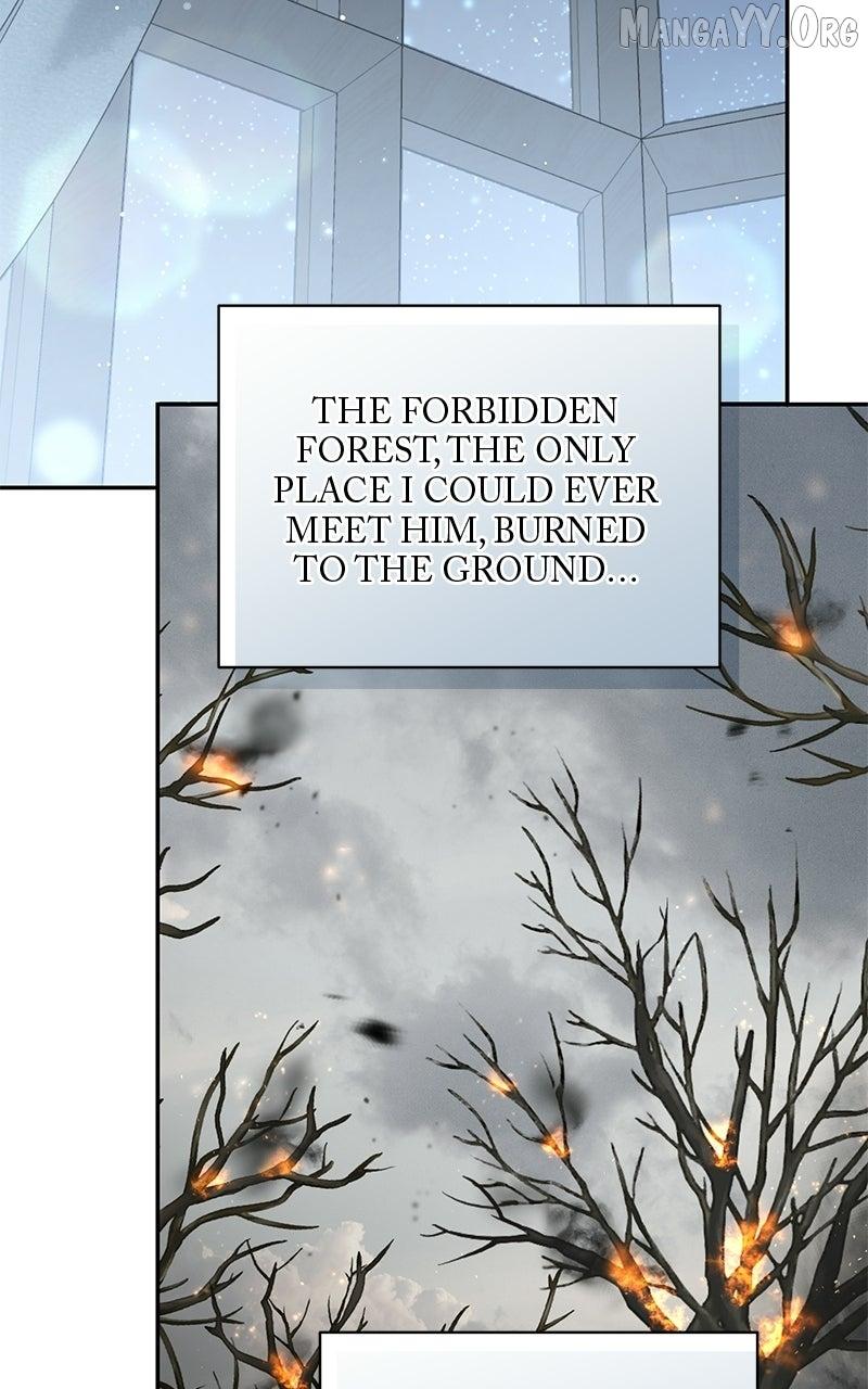 Perhaps Invincible Chapter 52 page 31 - 