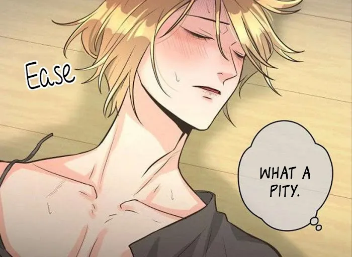 Pfeos Chapter 6 page 163 - 