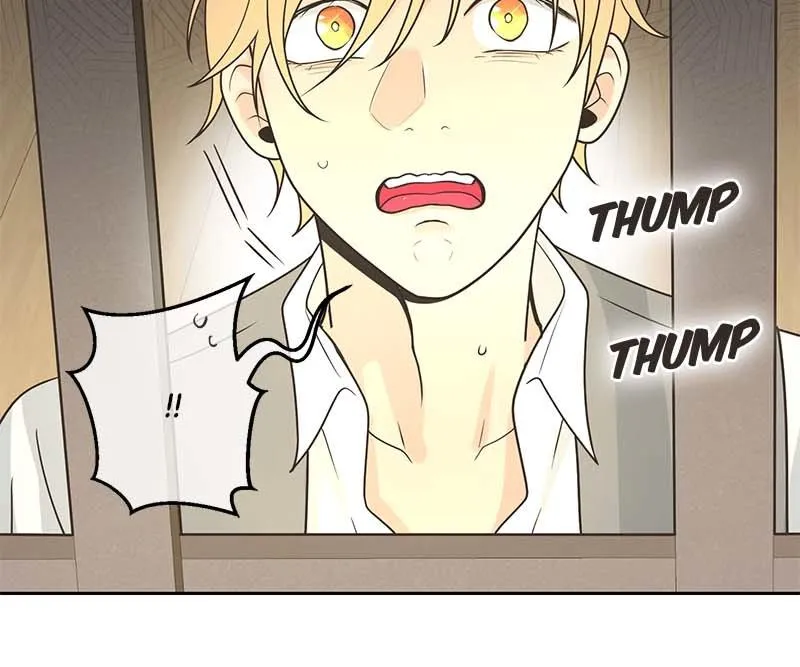 Pfeos Chapter 70 page 17 - 