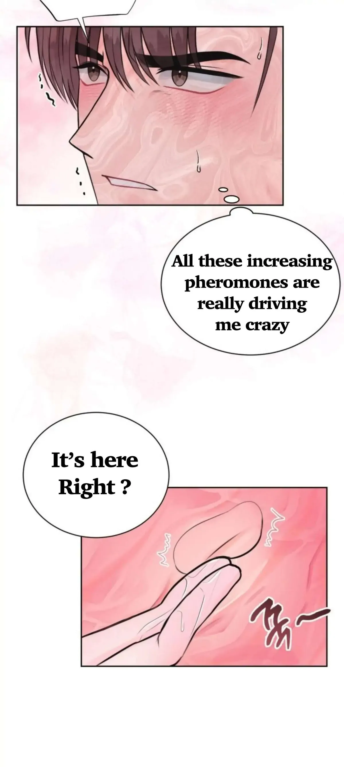 Pheromone Baby Chapter 4 page 6 - 