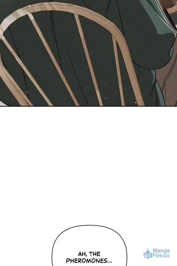 Pheromone Fetish Chapter 10 page 37 - 