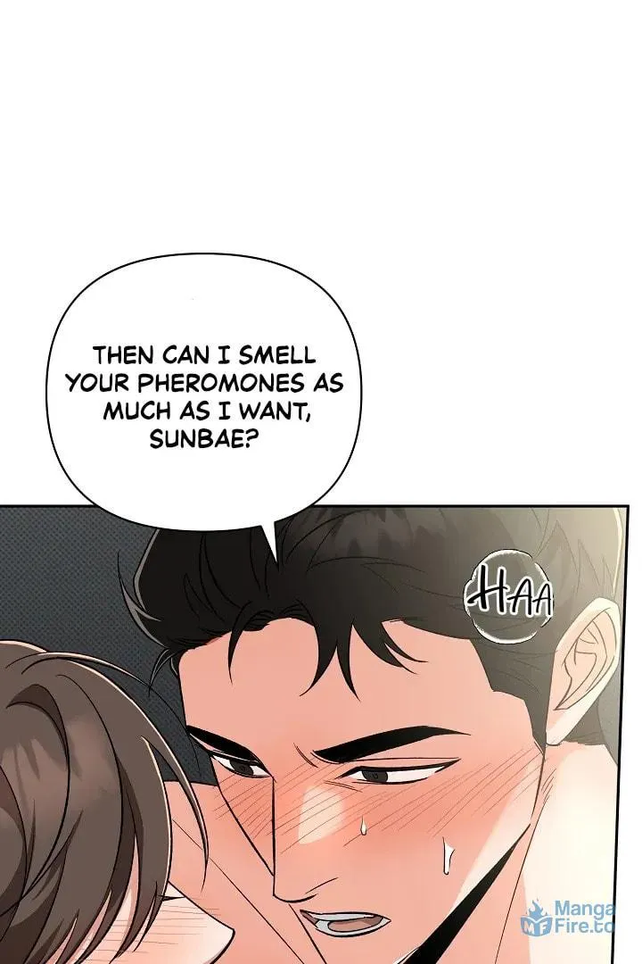 Pheromone Fetish Chapter 12 page 27 - 