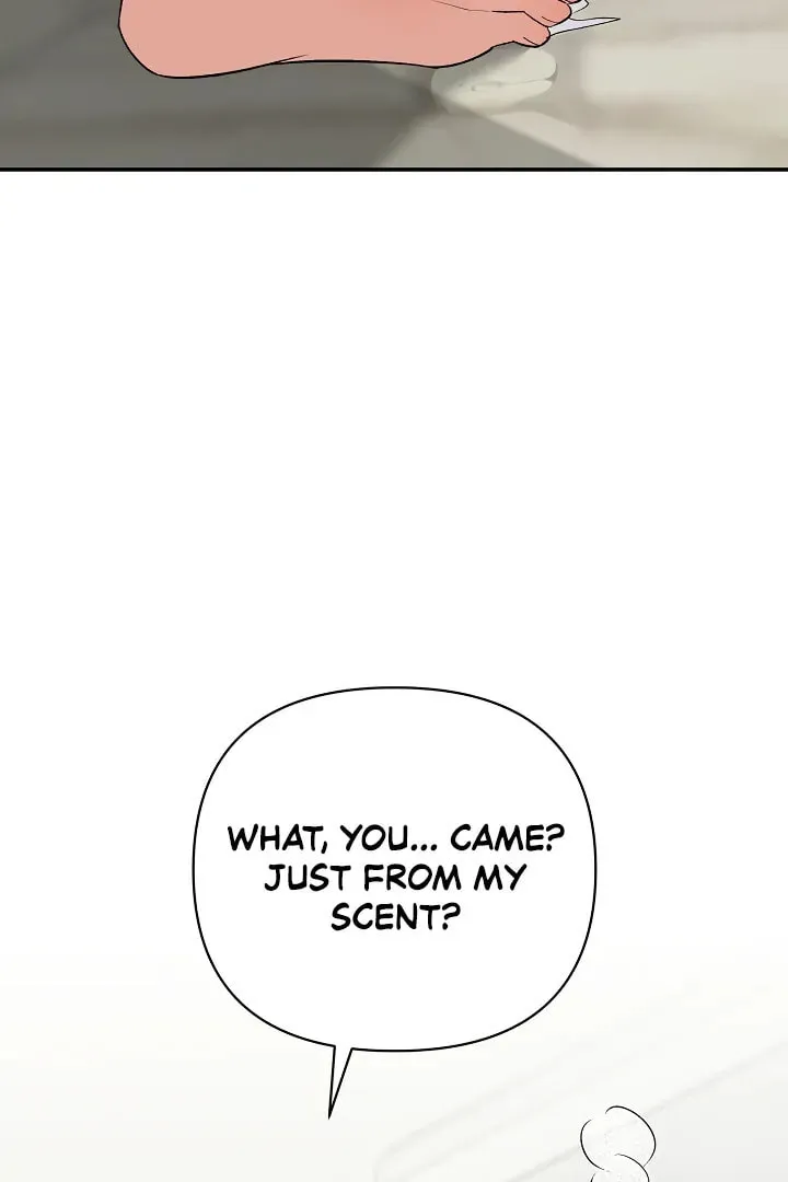 Pheromone Fetish Chapter 12 page 77 - 