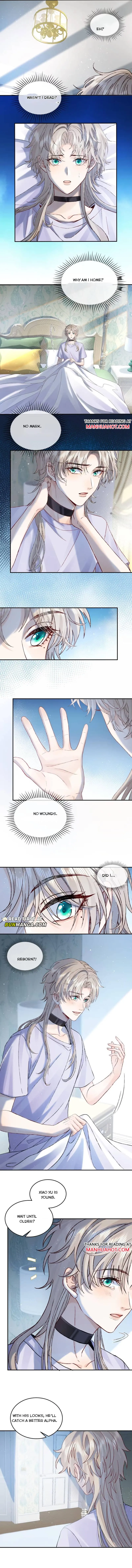 Pheromones Trap Chapter 1 page 4 - 