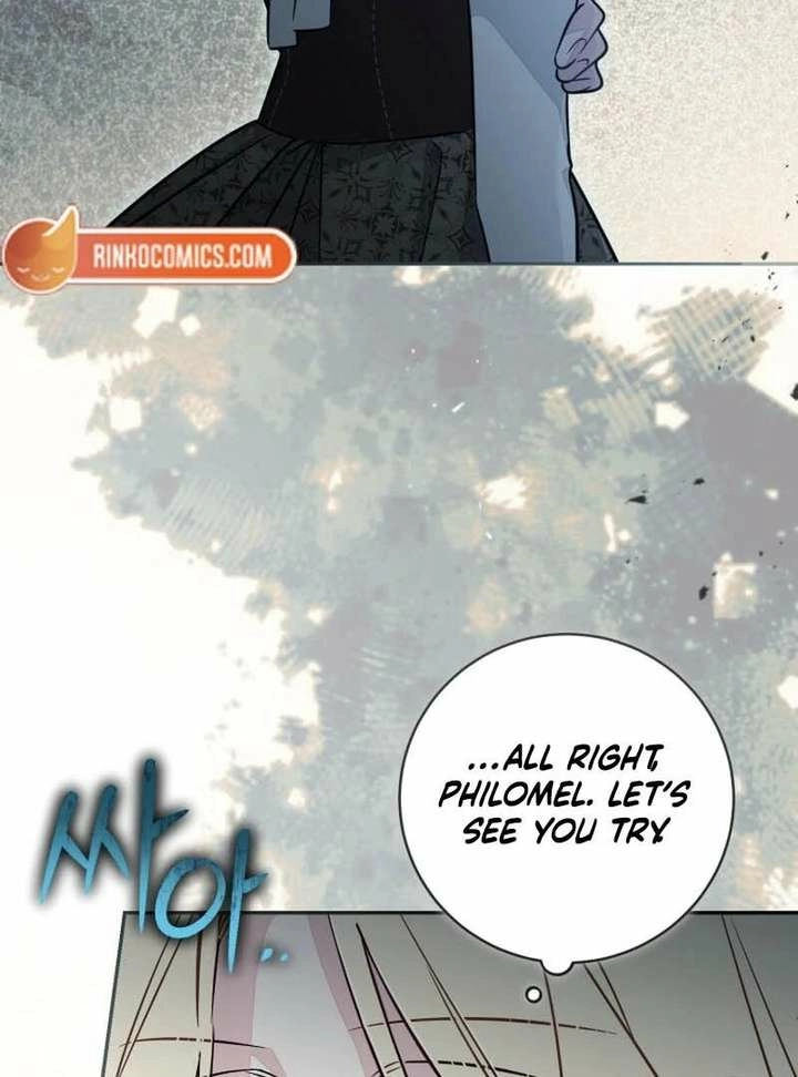 Philomel the Fake Chapter 97 page 96 - 