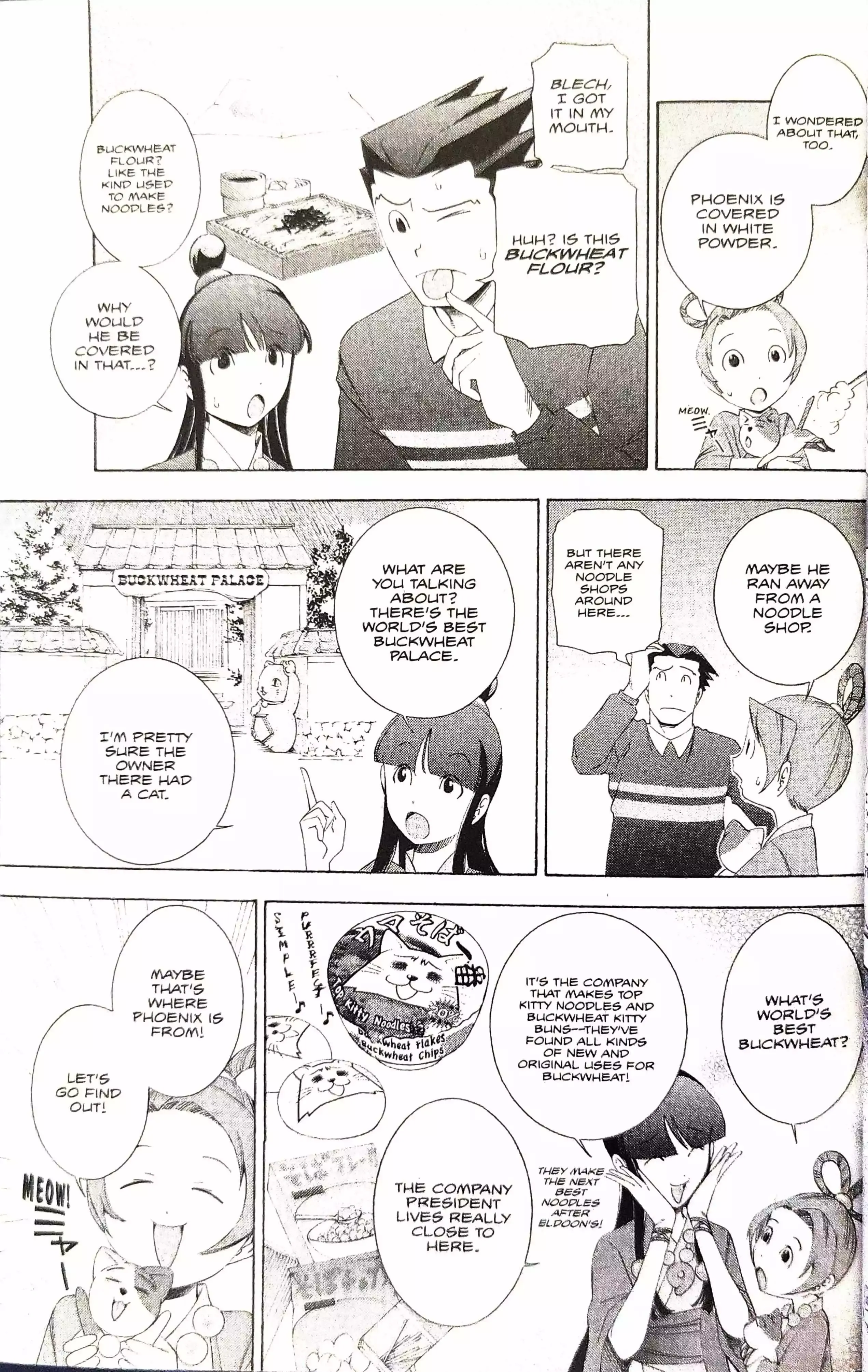 Phoenix Wright: Ace Attorney Chapter 10 page 22 - 