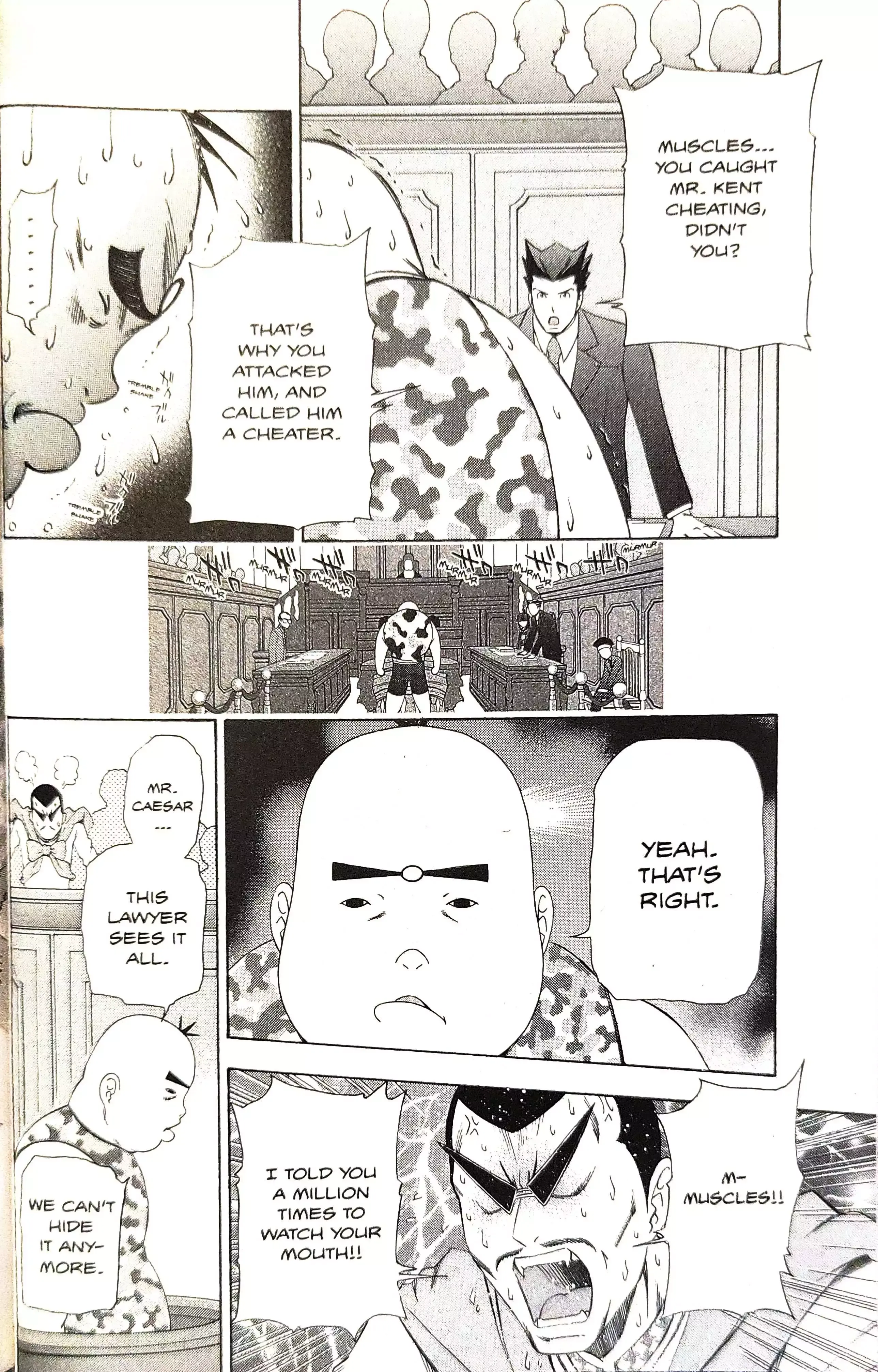 Phoenix Wright: Ace Attorney Chapter 13 page 27 - 
