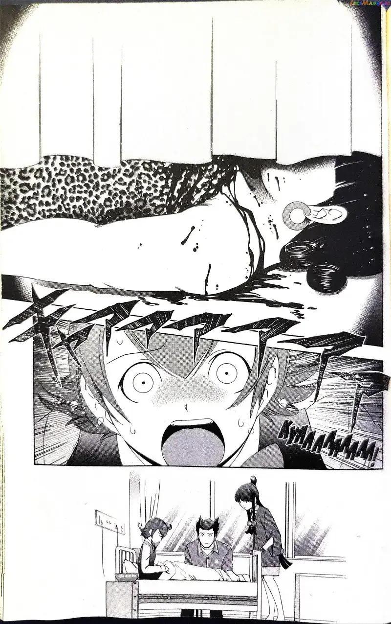 Phoenix Wright: Ace Attorney Chapter 8 page 14 - 
