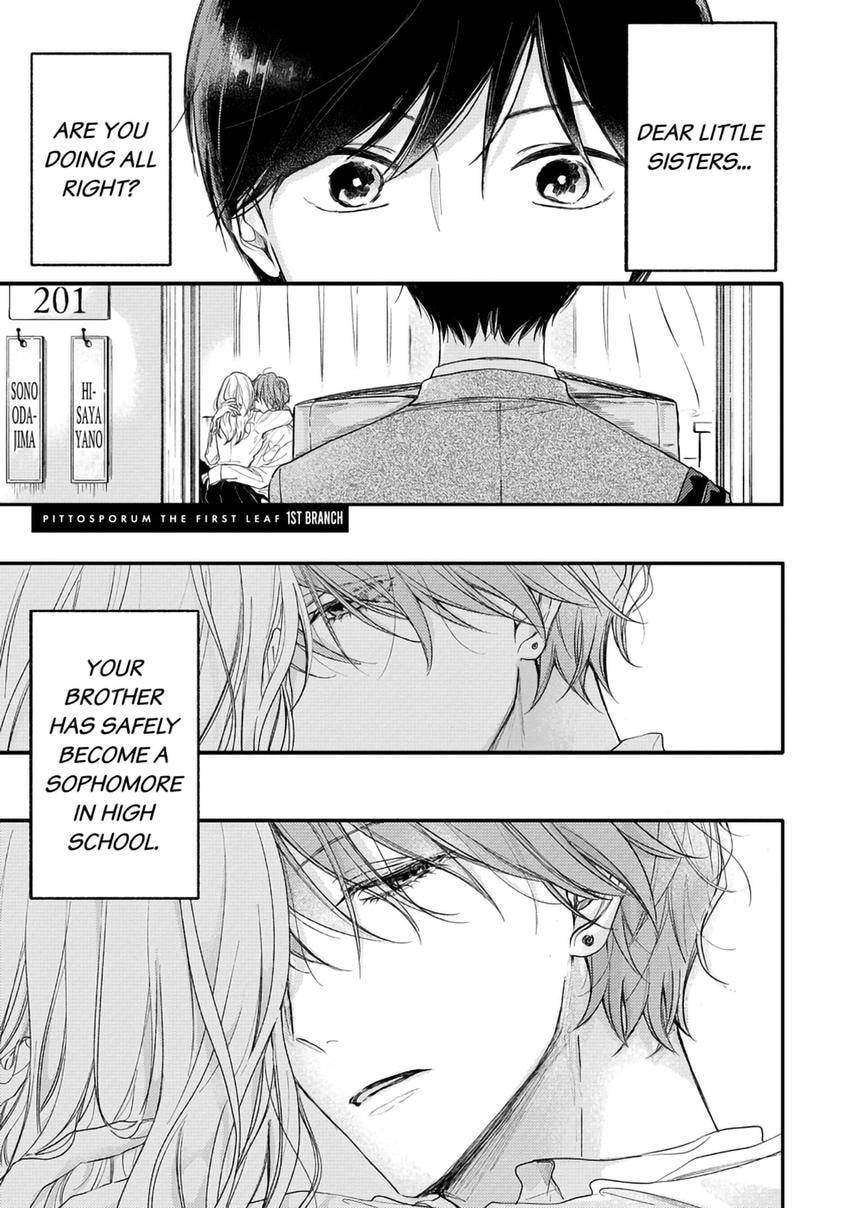 Pittosporum Chapter 0 page 2 - 