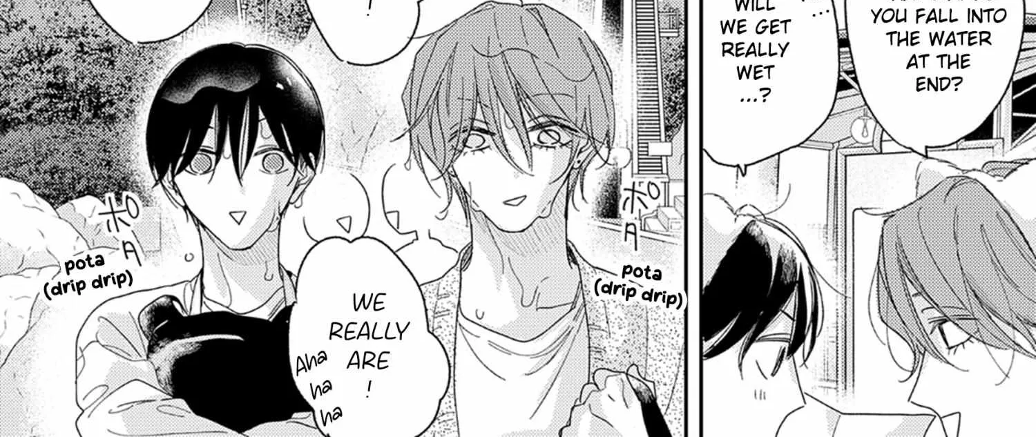Pittosporum Chapter 1.1 page 20 - 