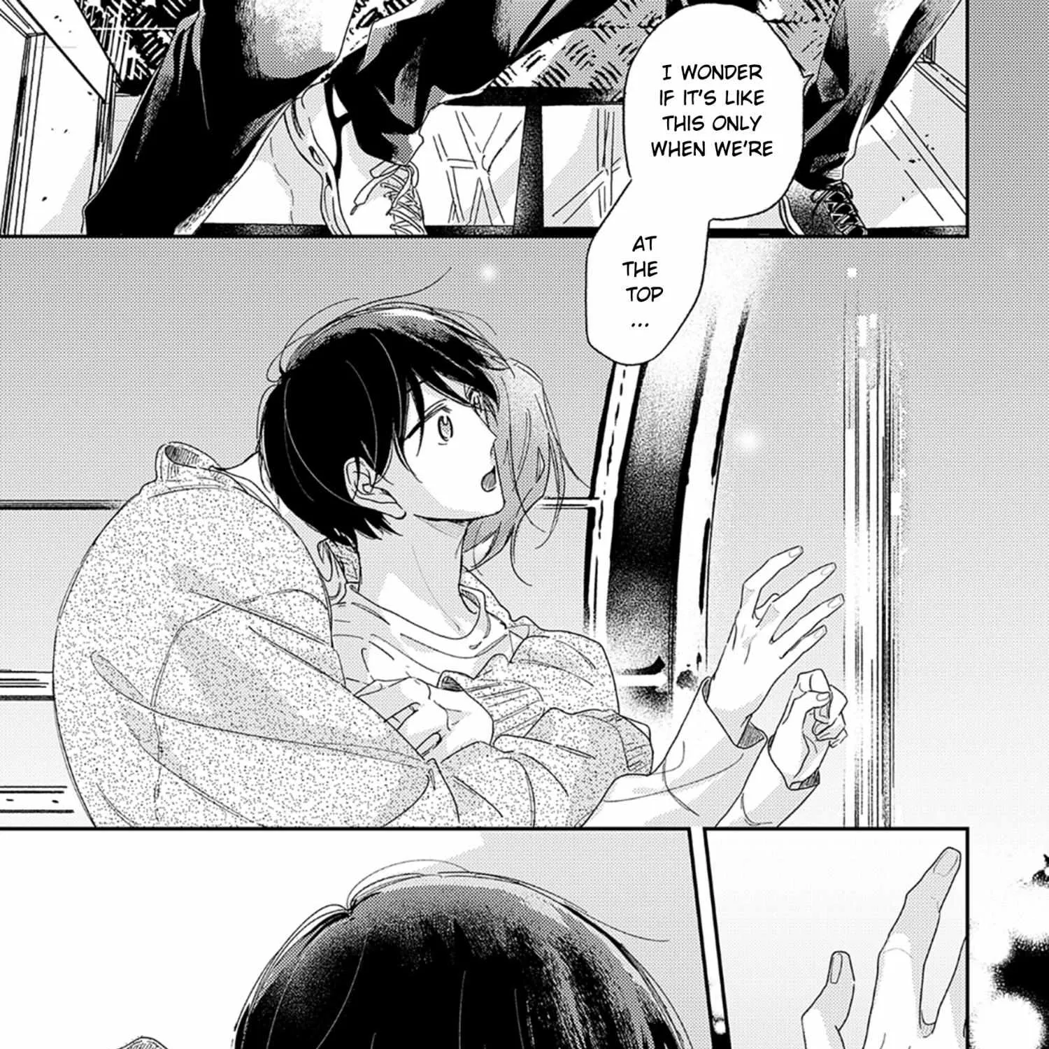 Pittosporum Chapter 1.1 page 37 - 