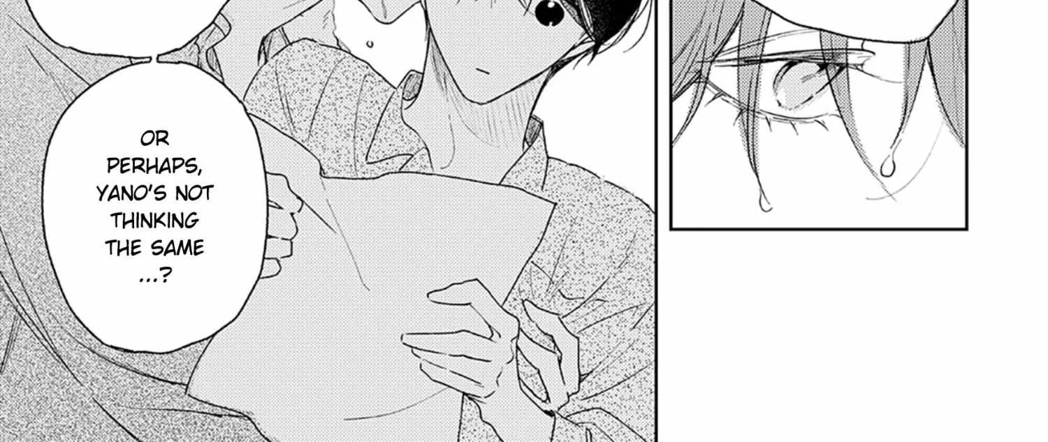 Pittosporum Chapter 1.2 page 26 - 