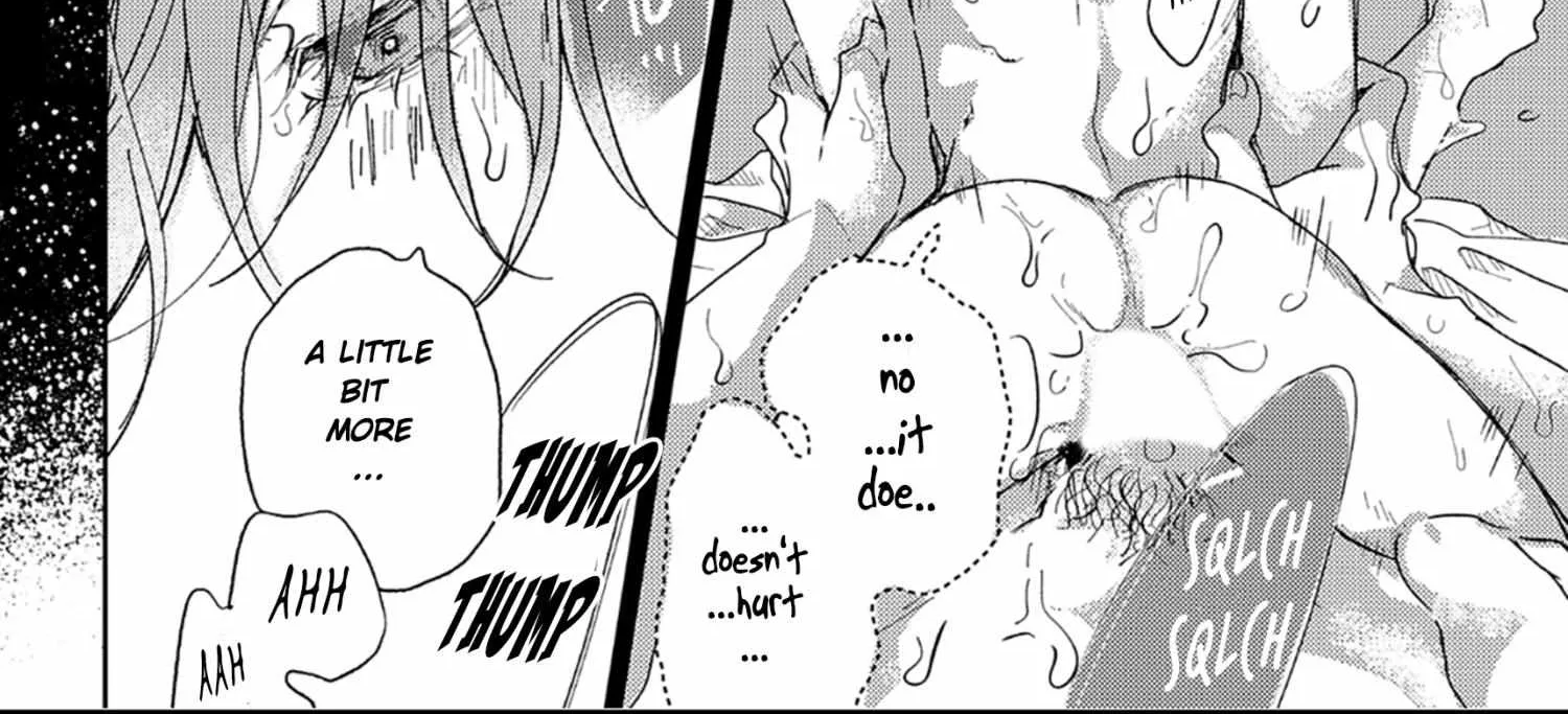 Pittosporum Chapter 1.2 page 32 - 