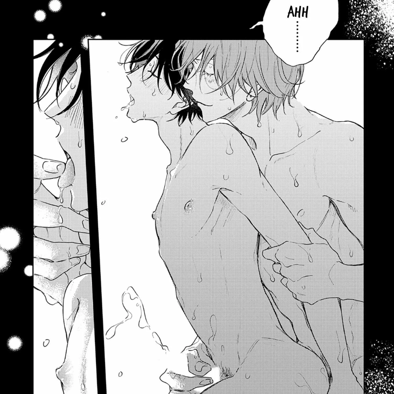 Pittosporum Chapter 1.2 page 33 - 