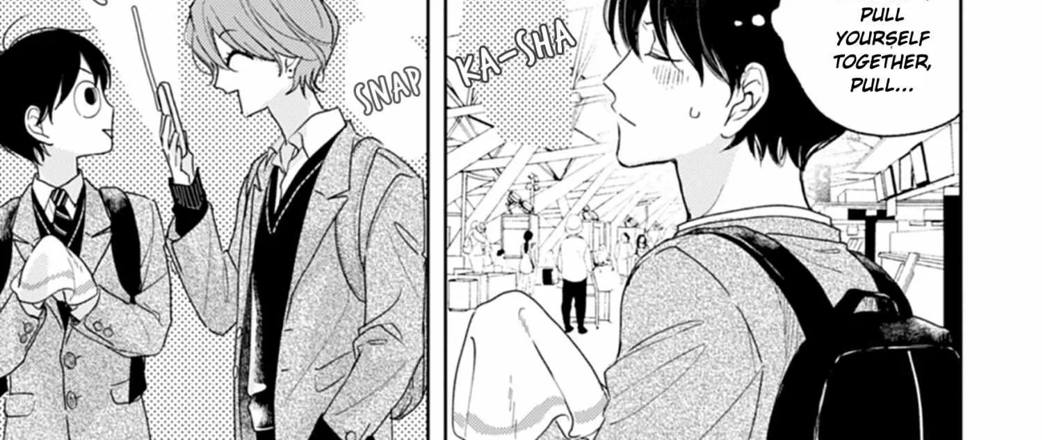 Pittosporum Chapter 1.2 page 38 - 
