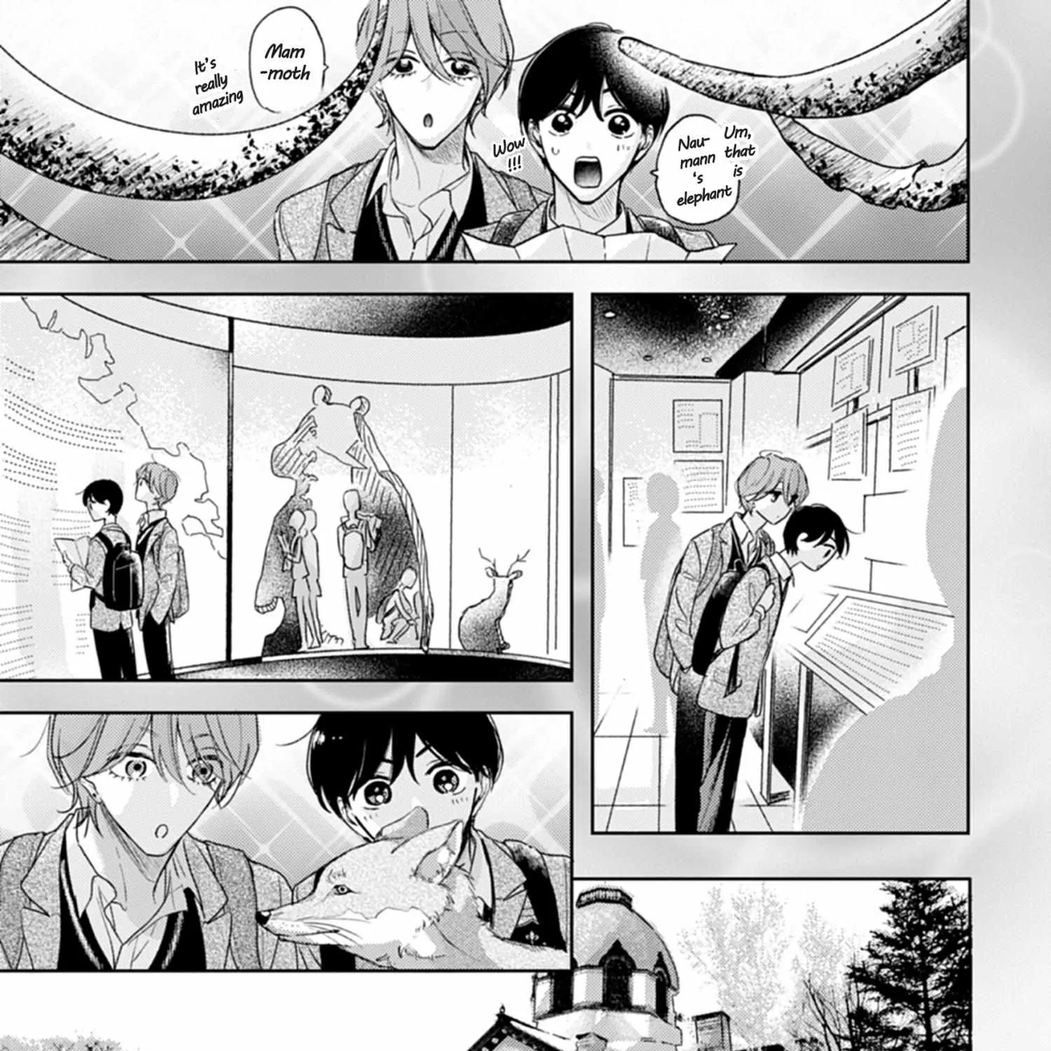Pittosporum Chapter 1.2 page 45 - 