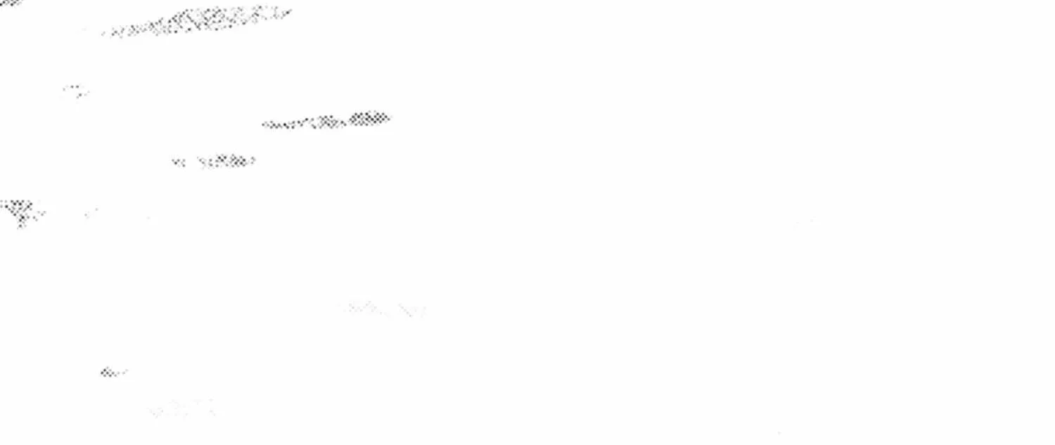 Pittosporum Chapter 1.2 page 52 - 