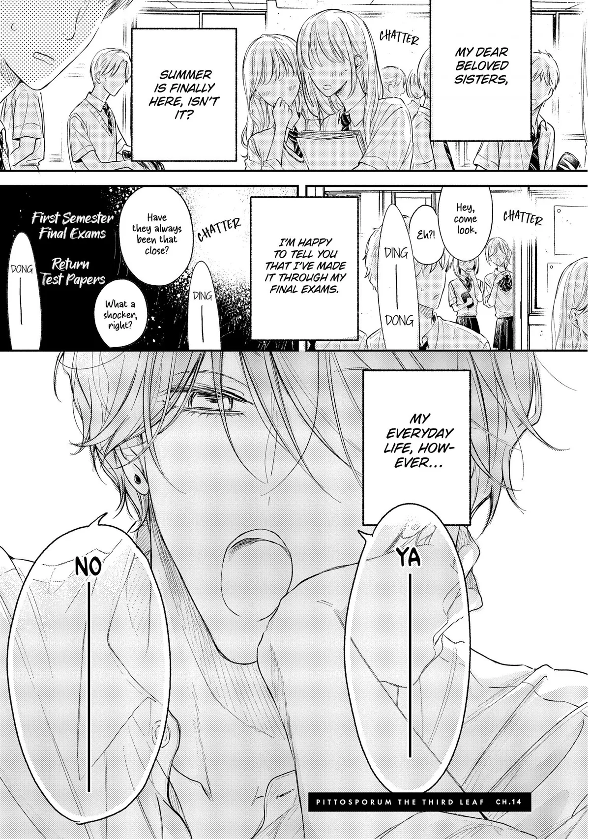 Pittosporum Chapter 14 page 4 - 