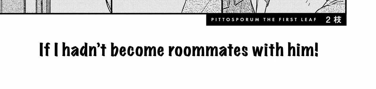 Pittosporum Chapter 2 page 2 - 