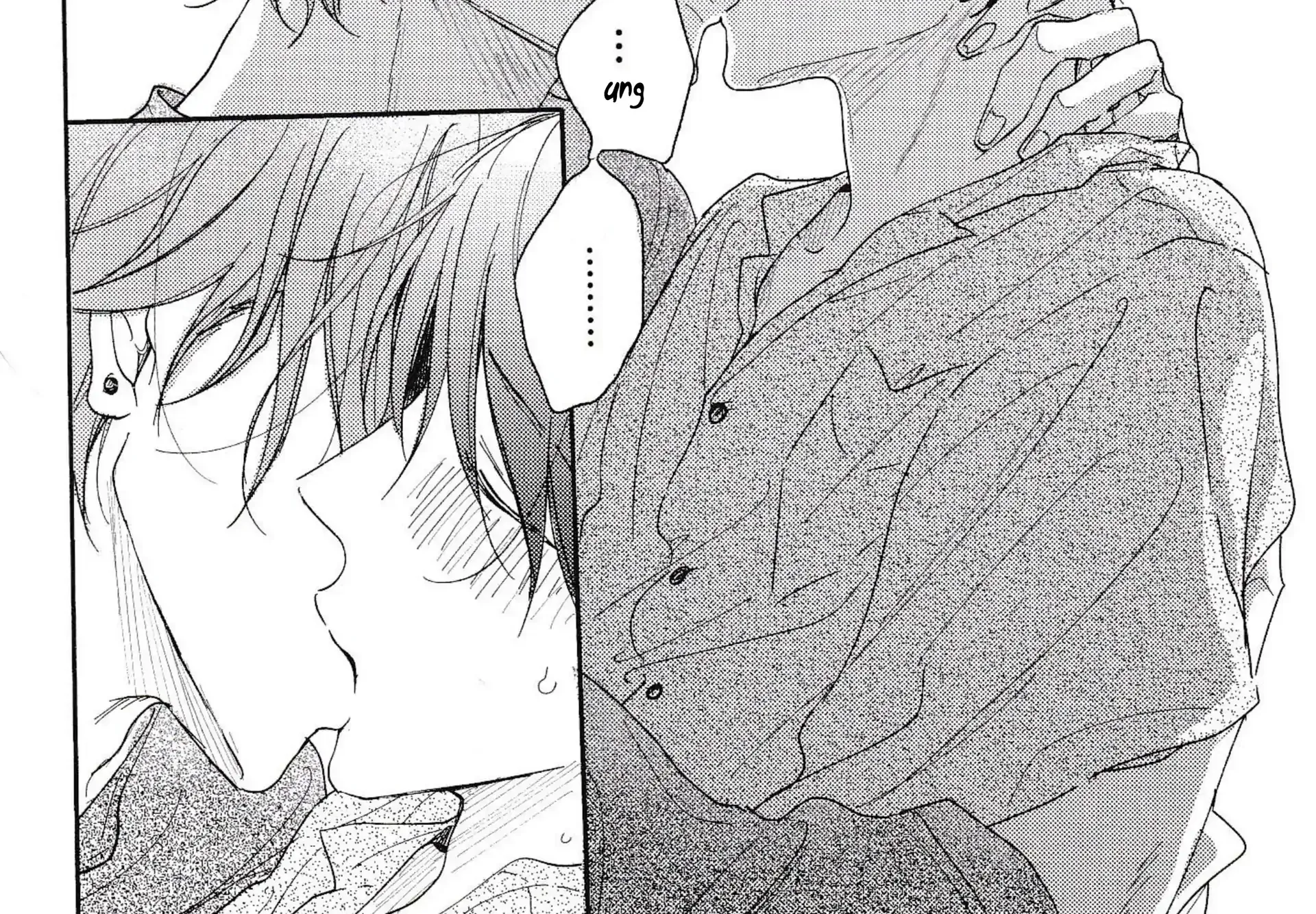 Pittosporum Chapter 3.5 page 20 - 
