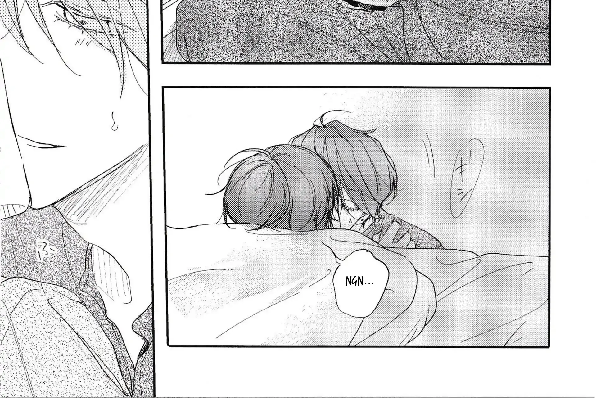 Pittosporum Chapter 3.5 page 22 - 