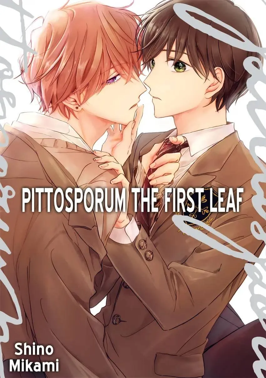Pittosporum Chapter 4 page 2 - 
